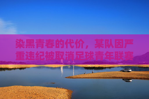 染黑青春的代价,某队因严重违纪被取消足球青年联赛资格,引发行业反思