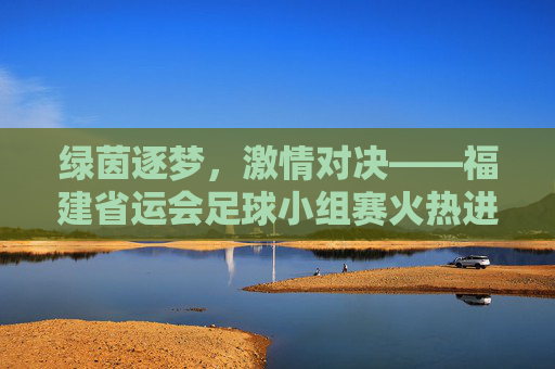 绿茵逐梦,激情对决——福建省运会足球小组赛火热进行中