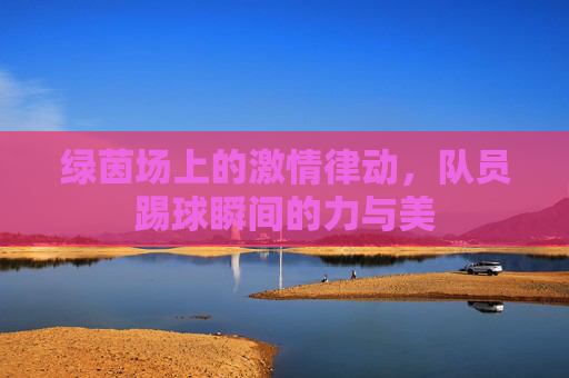 绿茵场上的激情律动,队员踢球瞬间的力与美