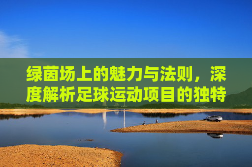 绿茵场上的魅力与法则，深度解析足球运动项目的独特特点