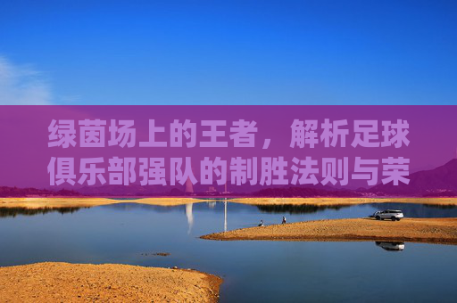绿茵场上的王者,解析足球俱乐部强队的制胜法则与荣耀之路