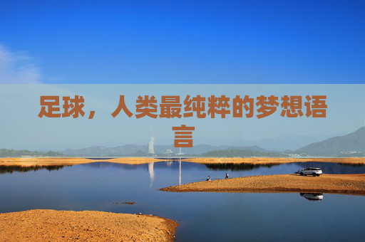 足球,人类最纯粹的梦想语言
