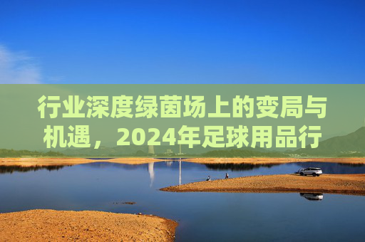 行业深度绿茵场上的变局与机遇,2024年足球用品行业现状深度剖析