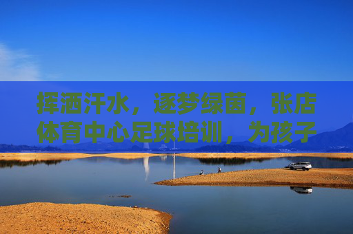 挥洒汗水,逐梦绿茵,张店体育中心足球培训,为孩子打造专业足球梦