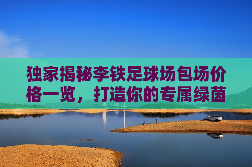 独家揭秘李铁足球场包场价格一览,打造你的专属绿茵盛宴