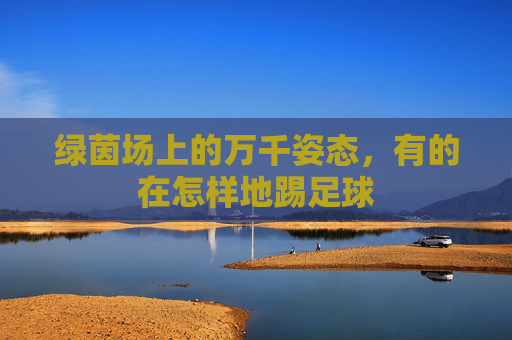 绿茵场上的万千姿态,有的在怎样地踢足球