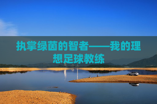 执掌绿茵的智者——我的理想足球教练
