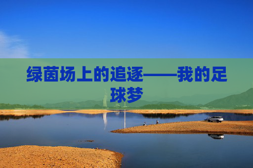 绿茵场上的追逐——我的足球梦