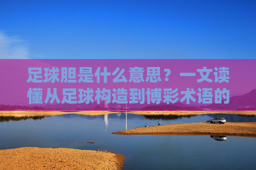 足球胆是什么意思?一文读懂从足球构造到博彩术语的全面解析