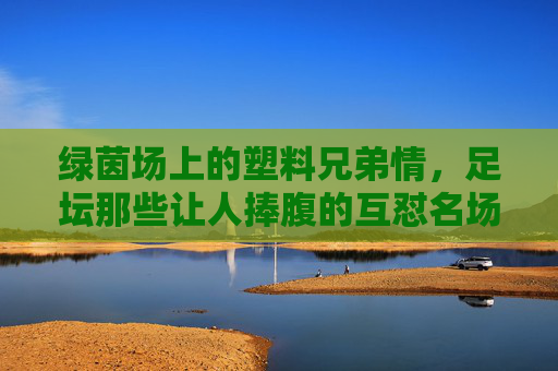 绿茵场上的塑料兄弟情,足坛那些让人捧腹的互怼名场面