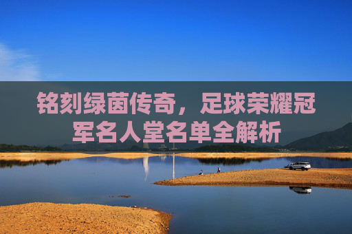 铭刻绿茵传奇,足球荣耀冠军名人堂名单全解析