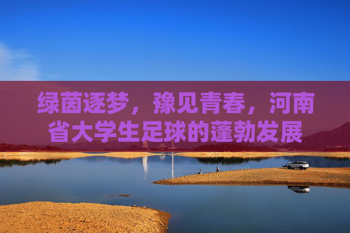绿茵逐梦,豫见青春,河南省大学生足球的蓬勃发展