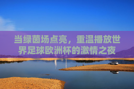 当绿茵场点亮，重温播放世界足球欧洲杯的激情之夜