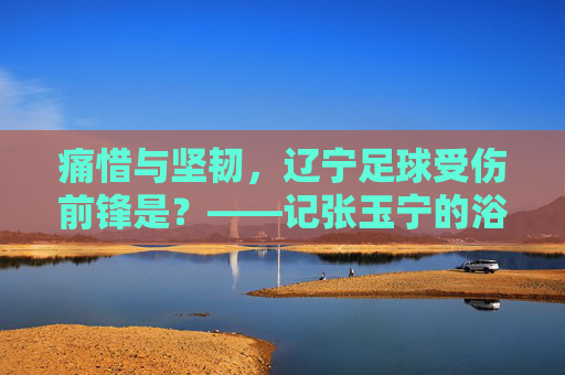 痛惜与坚韧,辽宁足球受伤前锋是?——记张玉宁的浴火重生