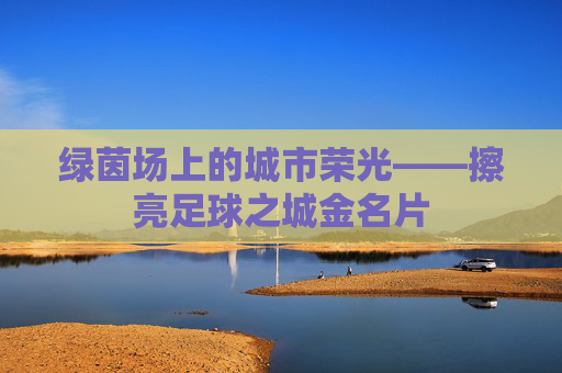 绿茵场上的城市荣光——擦亮足球之城金名片