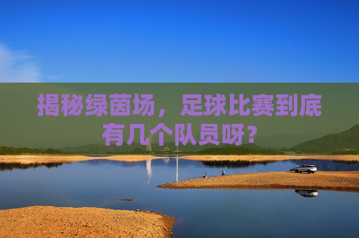 揭秘绿茵场,足球比赛到底有几个队员呀?