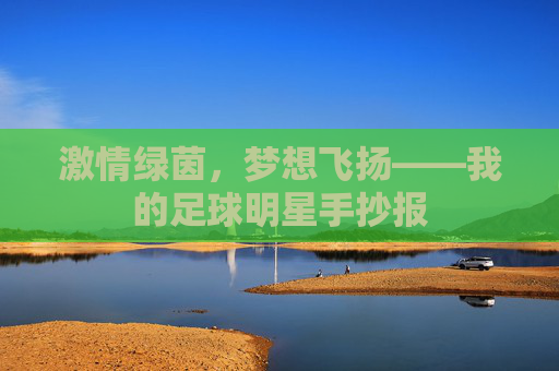 激情绿茵，梦想飞扬——我的足球明星手抄报