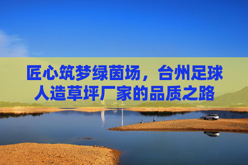 匠心筑梦绿茵场,台州足球人造草坪厂家的品质之路