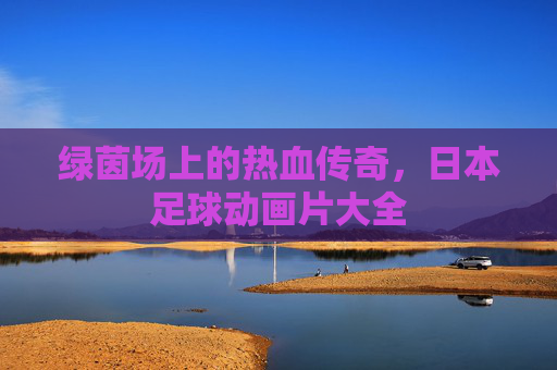 绿茵场上的热血传奇,日本足球动画片大全