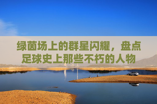 绿茵场上的群星闪耀,盘点足球史上那些不朽的人物