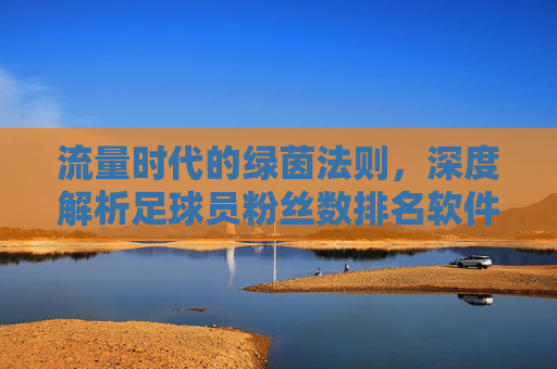 流量时代的绿茵法则,深度解析足球员粉丝数排名软件的崛起