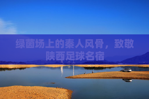 绿茵场上的秦人风骨,致敬陕西足球名宿