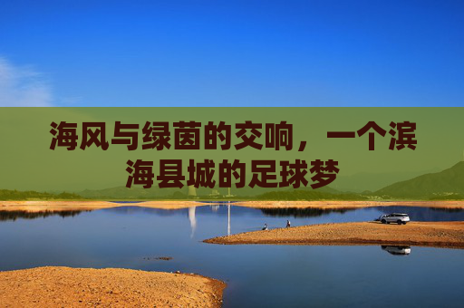 海风与绿茵的交响,一个滨海县城的足球梦