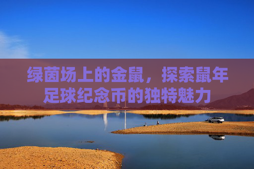 绿茵场上的金鼠,探索鼠年足球纪念币的独特魅力