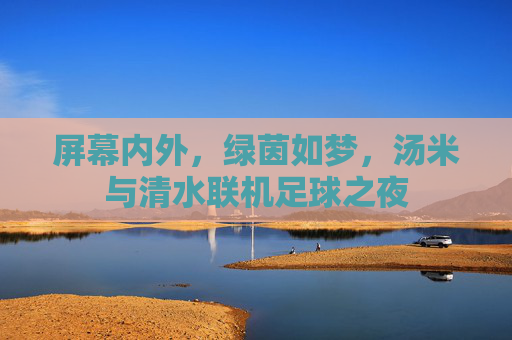 屏幕内外,绿茵如梦,汤米与清水联机足球之夜