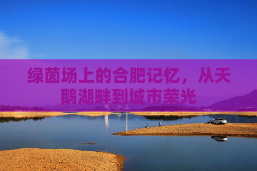 绿茵场上的合肥记忆,从天鹅湖畔到城市荣光