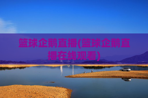 篮球企鹅直播(篮球企鹅直播在线观看)