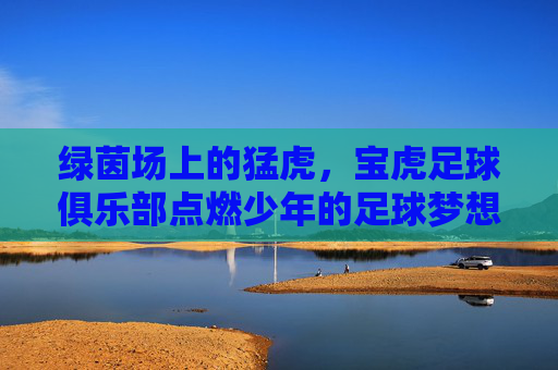 绿茵场上的猛虎,宝虎足球俱乐部点燃少年的足球梦想