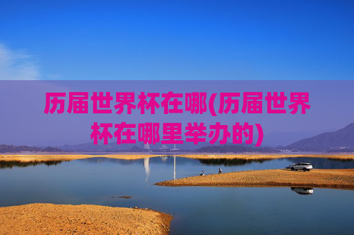 历届世界杯在哪(历届世界杯在哪里举办的)