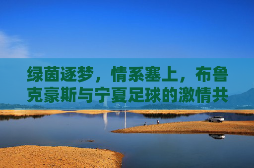 绿茵逐梦,情系塞上,布鲁克豪斯与宁夏足球的激情共鸣