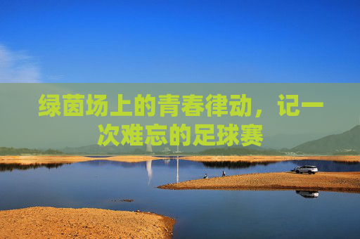绿茵场上的青春律动,记一次难忘的足球赛
