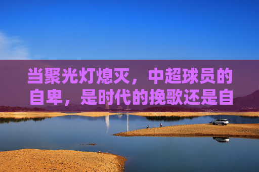 当聚光灯熄灭,中超球员的自卑,是时代的挽歌还是自省的起点?