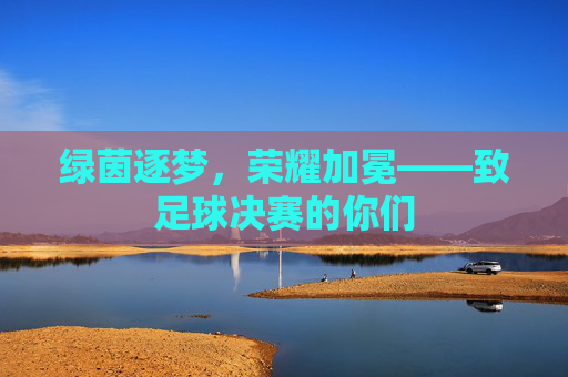 绿茵逐梦,荣耀加冕——致足球决赛的你们