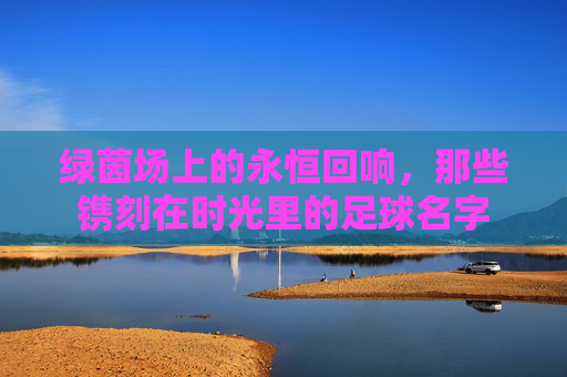 绿茵场上的永恒回响,那些镌刻在时光里的足球名字