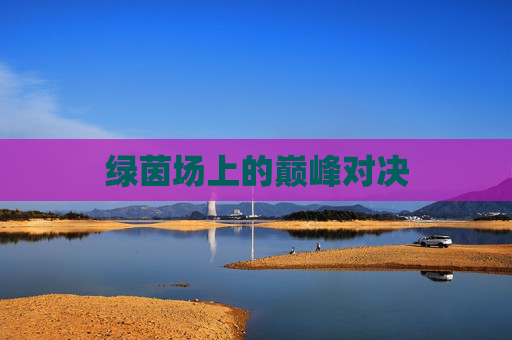 绿茵场上的巅峰对决