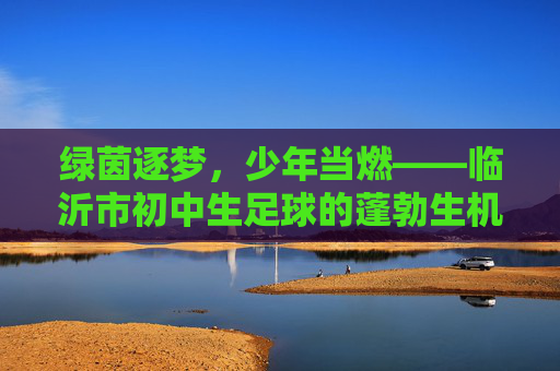绿茵逐梦,少年当燃——临沂市初中生足球的蓬勃生机