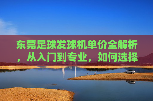 东莞足球发球机单价全解析,从入门到专业,如何选择性价比之王?