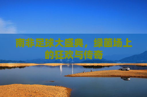南非足球大盛典,绿茵场上的狂欢与传奇