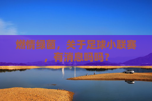 燃情绿茵,关于足球小联赛,有消息吗吗?