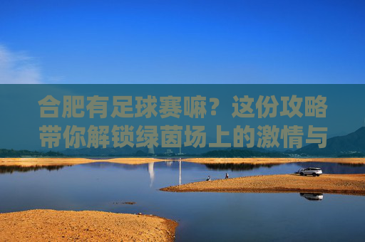 合肥有足球赛嘛?这份攻略带你解锁绿茵场上的激情与热血