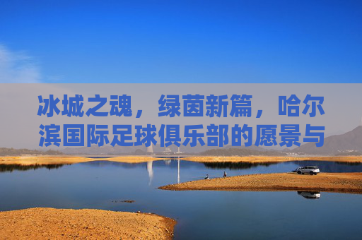 冰城之魂,绿茵新篇,哈尔滨国际足球俱乐部的愿景与征程