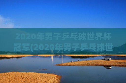 2020年男子乒乓球世界杯冠军(2020年男子乒乓球世界杯冠军是谁)
