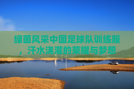绿茵风采中国足球队训练服,汗水浇灌的荣耀与梦想