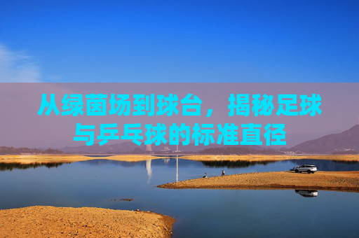 从绿茵场到球台,揭秘足球与乒乓球的标准直径