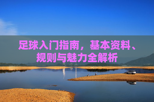 足球入门指南,基本资料、规则与魅力全解析