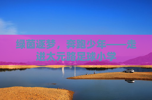 绿茵逐梦,奔跑少年——走进太元路足球小学